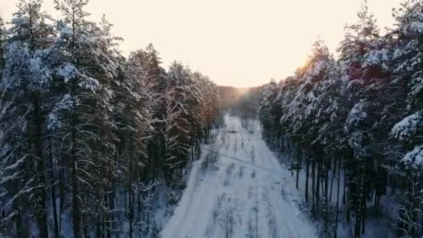 Повітряний скандинавський зимовий пейзажний політ над сніговим гірським лісом на заході сонця . — стокове відео
