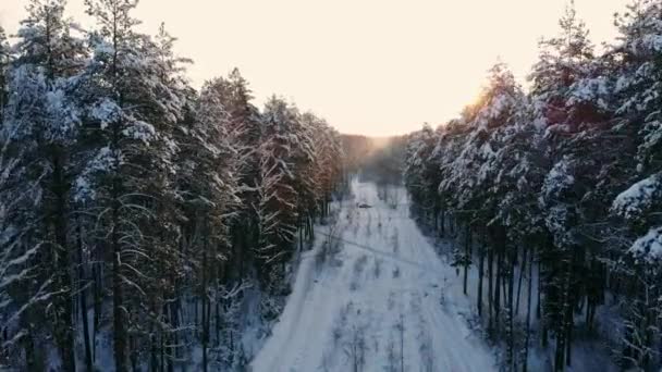 Antenowe nordic zimowy krajobraz Lot nad śniegiem góry Las na zachód słońca. — Wideo stockowe