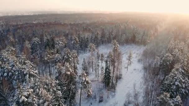 Letecké záběry z létání mezi krásné zasněžené stromy uprostřed divočiny v Lapland Finland. — Stock video