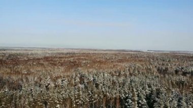 Hava: karlı orman altın kış güneş doğarken araba araba yukarıda uçan. Kişi yolculuğa kar seyahat kış Lapland vahşi günbatımında kapalı. Boş buzlu yolda araba araba