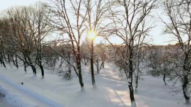 Hava: karlı orman altın kış güneş doğarken araba araba yukarıda uçan. Kişi yolculuğa kar seyahat kış Lapland vahşi günbatımında kapalı. Boş buzlu yolda araba araba