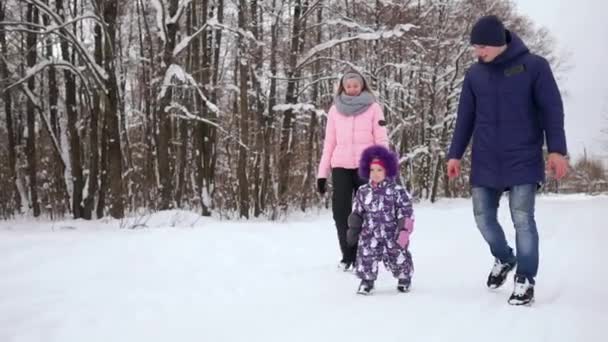 Ευτυχισμένη οικογένεια περπάτημα στο χειμερινό πάρκο. Μια γυναίκα με ένα παιδί σε έναν περίπατο χειμώνα χιονισμένο. — Αρχείο Βίντεο