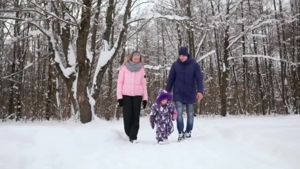 Buona famiglia passeggiando nel parco invernale. Una donna con un bambino in una passeggiata invernale innevata . — Video Stock