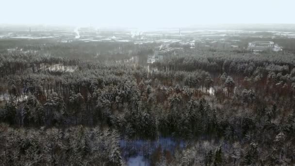 Großaufnahme Aus Der Luft Über Gefrorenen Baumwipfeln Verschneiten Mischwald Bei — Stockvideo