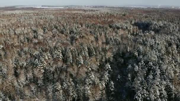 Vuelo aéreo del paisaje invernal nórdico sobre el bosque montañoso de nieve al atardecer . — Vídeo de stock