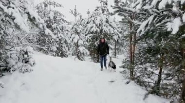 Bel portre sevimli Husky köpek ile açık havada kış, Asya adam kameraya gülümseyen odaklanmak oynayan mutlu modern çift kadar