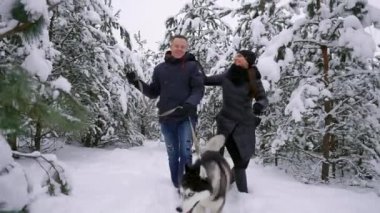 İnsanlar ormandaki bir yolda. Bir adam ve bir Sibirya Husky köpek ormandaki karda bir çocukla bir atlı kızak çekerek vardır. Bir kadın ormanda yürüyor