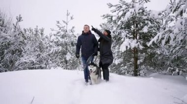 Stil genç çift kış Park lake ile onların arkadaş husky köpek yakınındaki birbirlerine sarılma ve gülümseyen parlak bir gün eğlenmek