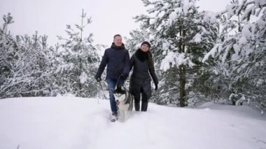 Erkek ve kadın oynama ve kar fırlatma kış ormandaki Siberian dış yapraklar ile yürüme eğlenceler