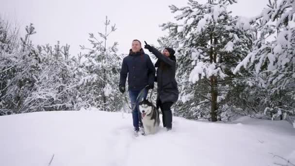 お互いを抱き締めると、笑顔の明るい日に彼らの友人のハスキー犬が付いている湖の近く冬の公園での楽しみを持っている若いカップルをスタイルします。 — ストック動画