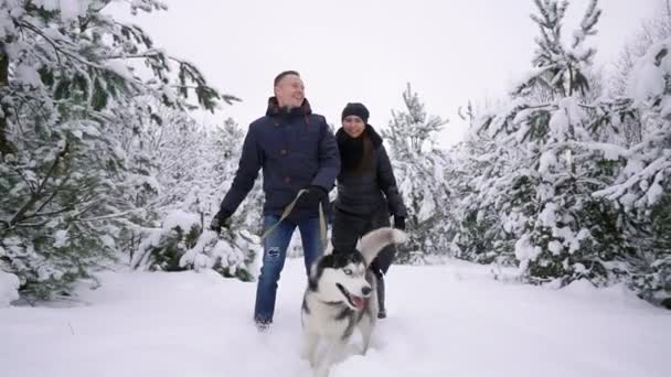 Cintura até retrato de casal moderno feliz brincando com filhote de cachorro Husky bonito ao ar livre no inverno, foco no homem asiático sorrindo para a câmera — Vídeo de Stock