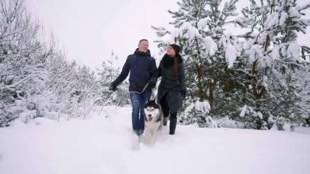 Hombre y mujer se divierten caminando con husky siberiano en el bosque de invierno jugando y lanzando nieve en cámara lenta — Vídeo de stock