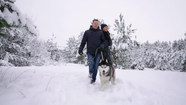 お互いを抱き締めると、笑顔の明るい日に彼らの友人のハスキー犬が付いている湖の近く冬の公園での楽しみを持っている若いカップルをスタイルします。 — ストック動画