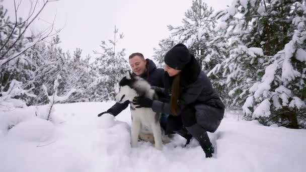 Hermosa familia, un hombre y una niña en el bosque de invierno con perro. Jugar con el perro husky siberiano . — Vídeos de Stock