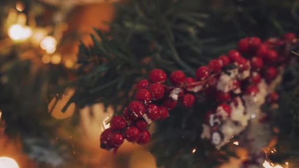 クリスマス ライトでツリーにクリスマスの装飾をぶら下がっています。ボールでクリスマス ツリーに飾る. — ストック動画