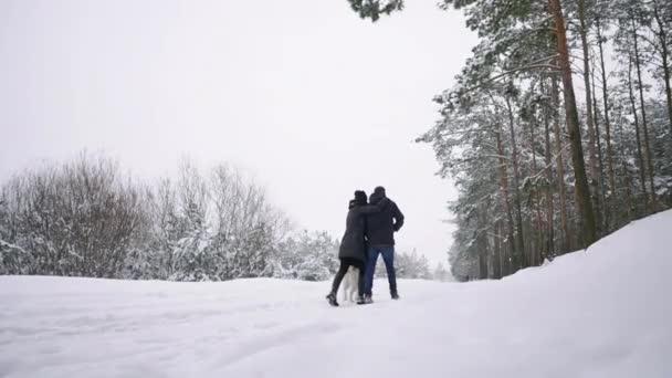 Milující muž a žena chodí s sibiřský husky v zimním lese s úsměvem a při pohledu na sebe zpomalené šťastnou rodinu. Pohled zezadu — Stock video