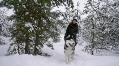 Bel portre sevimli Husky köpek ile açık havada kış, Asya adam kameraya gülümseyen odaklanmak oynayan mutlu modern çift kadar