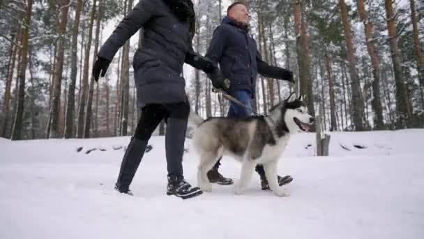 Stile giovane coppia divertirsi nel parco invernale vicino lago con il loro amico cane husky in una giornata luminosa abbracciarsi e sorridere — Video Stock