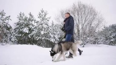 Stil genç çift kış Park lake ile onların arkadaş husky köpek yakınındaki birbirlerine sarılma ve gülümseyen parlak bir gün eğlenmek