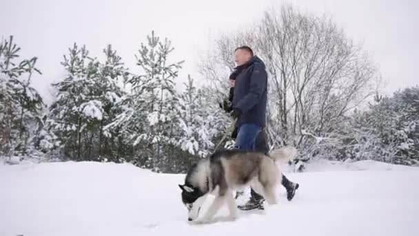Estilo jovem casal se divertindo no parque de inverno perto do lago com seu amigo cão husky em um dia brilhante abraçando um ao outro e sorrindo — Vídeo de Stock