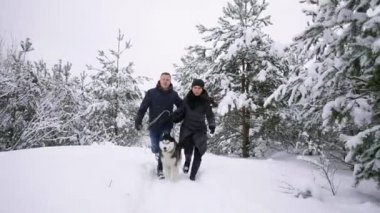 Bel portre sevimli Husky köpek ile açık havada kış, Asya adam kameraya gülümseyen odaklanmak oynayan mutlu modern çift kadar