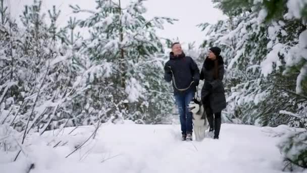 Mensen op een wandeling in het bos. Een man en een Siberische Husky hond zijn trekken een slee met een kind in de sneeuw in het forest. Een vrouw loopt in het bos — Stockvideo