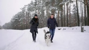Bel portre sevimli Husky köpek ile açık havada kış, Asya adam kameraya gülümseyen odaklanmak oynayan mutlu modern çift kadar