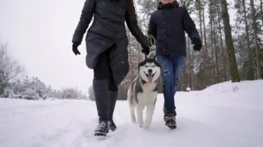 Bel portre sevimli Husky köpek ile açık havada kış, Asya adam kameraya gülümseyen odaklanmak oynayan mutlu modern çift kadar