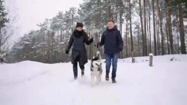Stil genç çift kış Park lake ile onların arkadaş husky köpek yakınındaki birbirlerine sarılma ve gülümseyen parlak bir gün eğlenmek
