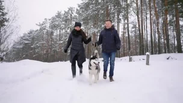 Pasangan muda bergaya bersenang-senang di taman musim dingin dekat danau dengan anjing liar teman mereka pada hari yang cerah saling berpelukan dan tersenyum — Stok Video