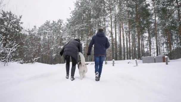 人们在森林里散步。一名男子和一只西伯利亚·赫斯基狗带着一个孩子在森林里的雪地里拉雪橇。一个女人在森林里散步 — 图库视频影像