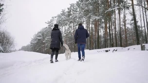 Любящий мужчина и женщина гуляют с сибирской хаски в зимнем лесу улыбаясь и глядя друг на друга Медленное движение счастливой семьи. Вид сзади — стоковое видео