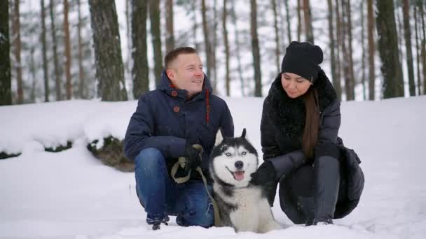 Gyönyörű család, egy férfi és egy lány kutya téli erdőben. Játék-val a kutya, Szibériai husky. — Stock videók