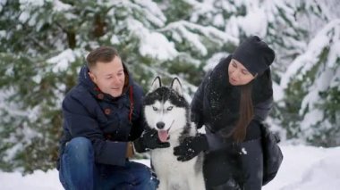 Bir adam ve bir kadın bir köpek kış orman gülümseyen içinde Siberian dış yapraklar sarılma ve birbirimize ve kamera bakarak oturuyordu. Ağır çekim mutlu aile