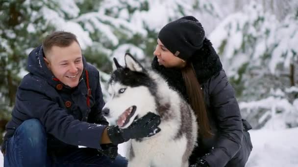 Muž a žena sedí objímání psa sibiřský husky v zimní lesní úsměvu a pohledu na sebe a na kameru. Zpomalený pohyb šťastná rodina — Stock video