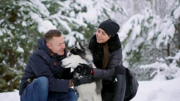 Aile portre sevimli mutlu çiftin yalama alaskan malamute köpekleri ile sarılma yüz mans. Komik köpek yavrusu Santa giyen Noel geyik boynuzları ve öpüşme kadın. Özgürlük yaşam tarzı evde beslenen hayvan aşık. — Stok video