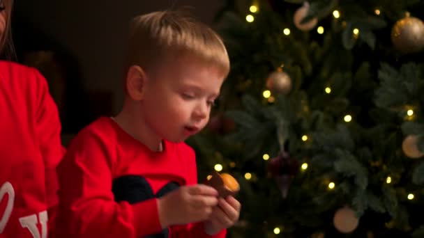 Τα παιδιά στο χριστουγεννιάτικο δέντρο τρώνε μπισκότα την παραμονή των Χριστουγέννων. Οικογένεια με τα παιδιά γιορτάζει τα Χριστούγεννα στο σπίτι. Αγόρι άνοιγμα παρουσιάζει. Δώρα διακοπών για το παιδί. — Αρχείο Βίντεο
