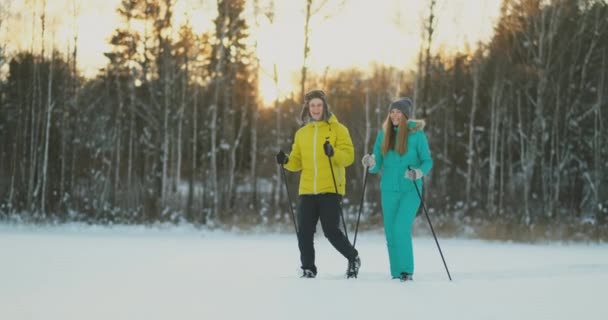 Retrato de vista lateral de pareja joven activa que lleva esquís charlando en el camino de regreso en un hermoso bosque de invierno, espacio para copiar — Vídeo de stock