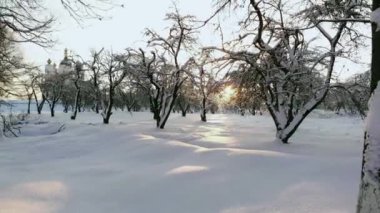 Kışın Kuzey Kutup Dairesi üzerinde Fin Lapland ormanda dron video