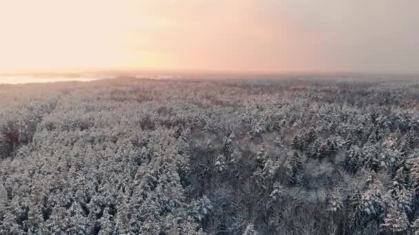 Luchtfoto Noordse winterlandschap vlucht over sneeuw bergbos op zonsondergang. — Stockvideo