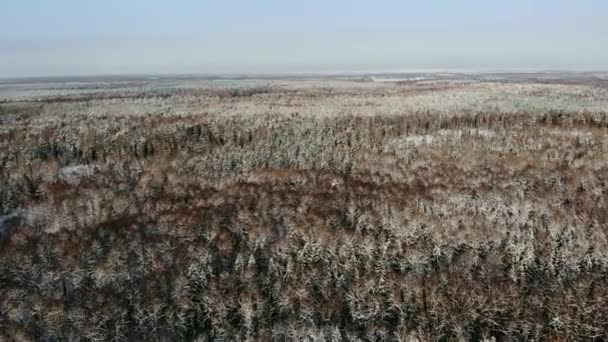 Aerea nordica inverno paesaggio volo sopra la foresta di montagna di neve al tramonto . — Video Stock