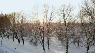 Vahşi doğada Lapland Finland ortasında güzel karlı ağaç arasında uçan hava görüntüleri