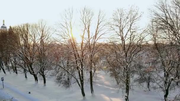 ラッピ州の荒野の真ん中に美しい雪に覆われた木々 の間飛行の空中映像 — ストック動画