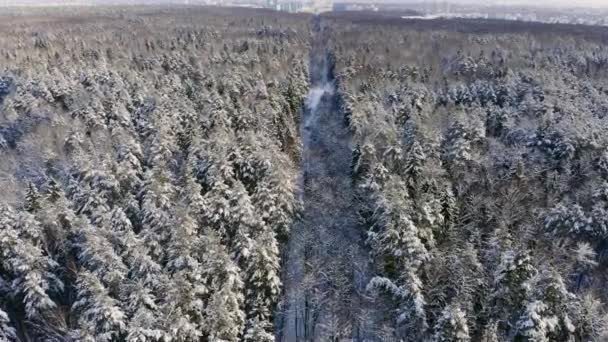 Filmato aereo di volare tra bellissimi alberi innevati nel mezzo della natura selvaggia in Lapponia Finlandia . — Video Stock