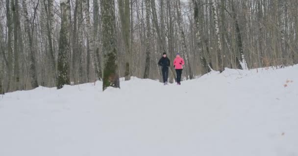 晴れた冬の朝の森をスポーツウェアに実行している肯定的な美しい若い健康なカップル. — ストック動画