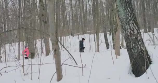 Un hombre y una mujer corren en el parque en invierno y saltan sobre un árbol caído. Paso sobre el obstáculo — Vídeos de Stock