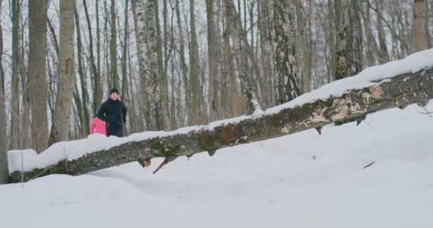 Позитивная красивая молодая здоровая пара, бегающая в спортивной одежде по лесу в солнечное зимнее утро. Перепрыгнуть через дерево, преодолеть трудности пути. переступить через упрямство — стоковое видео