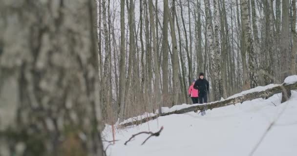 Positiva hermosa pareja sana joven corriendo con ropa deportiva a través del bosque en la soleada mañana de invierno. Saltar sobre el árbol, superar las dificultades del camino. paso sobre un obstáculo — Vídeos de Stock