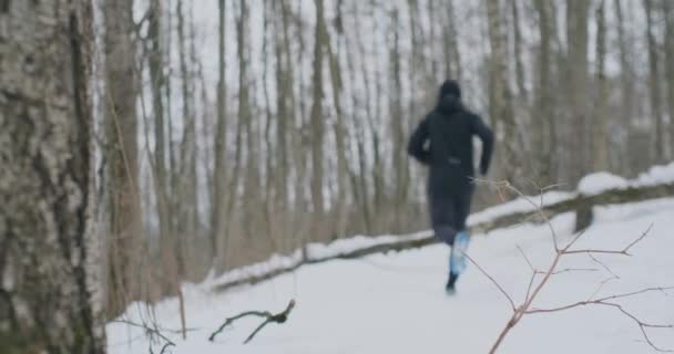 Positiva hermosa pareja sana joven corriendo con ropa deportiva a través del bosque en la soleada mañana de invierno. Saltar sobre el árbol, superar las dificultades del camino. paso sobre un obstáculo — Vídeos de Stock