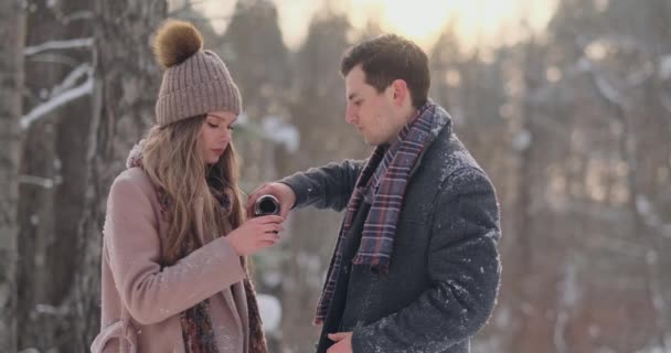 Couple amoureux dans la forêt d'hiver pour boire le thé d'un thermos. Homme et femme élégants dans un manteau dans le parc en hiver pour une promenade . — Video